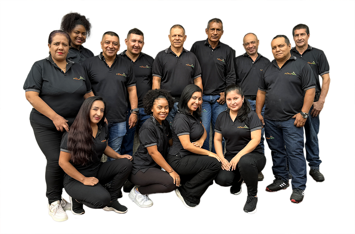 El equipo de Decorflores