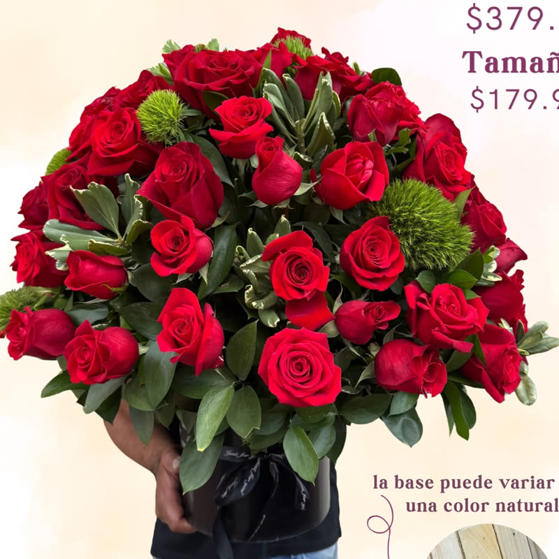 Mía L: Rosas rojas en base