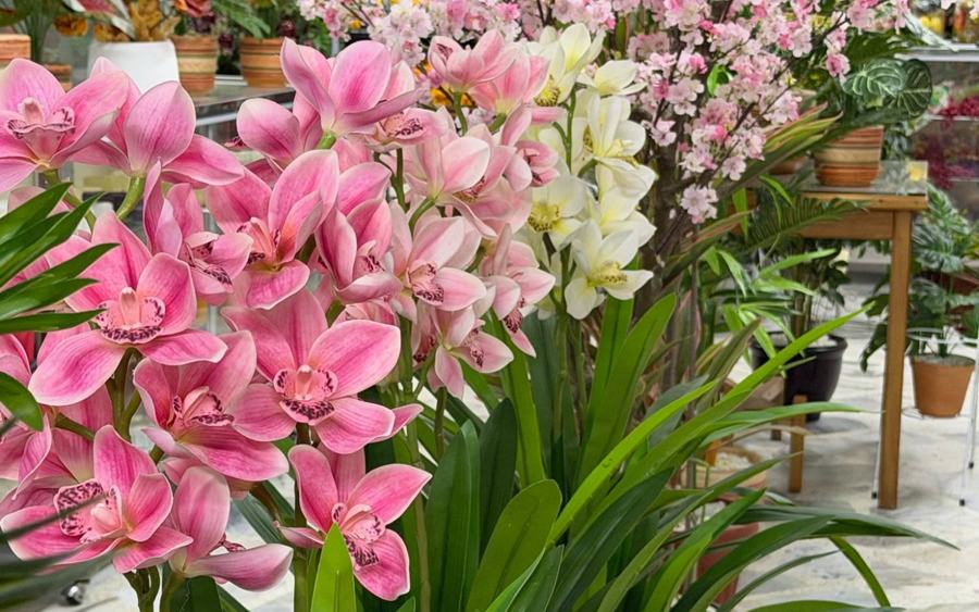 Orquídeas artificiales