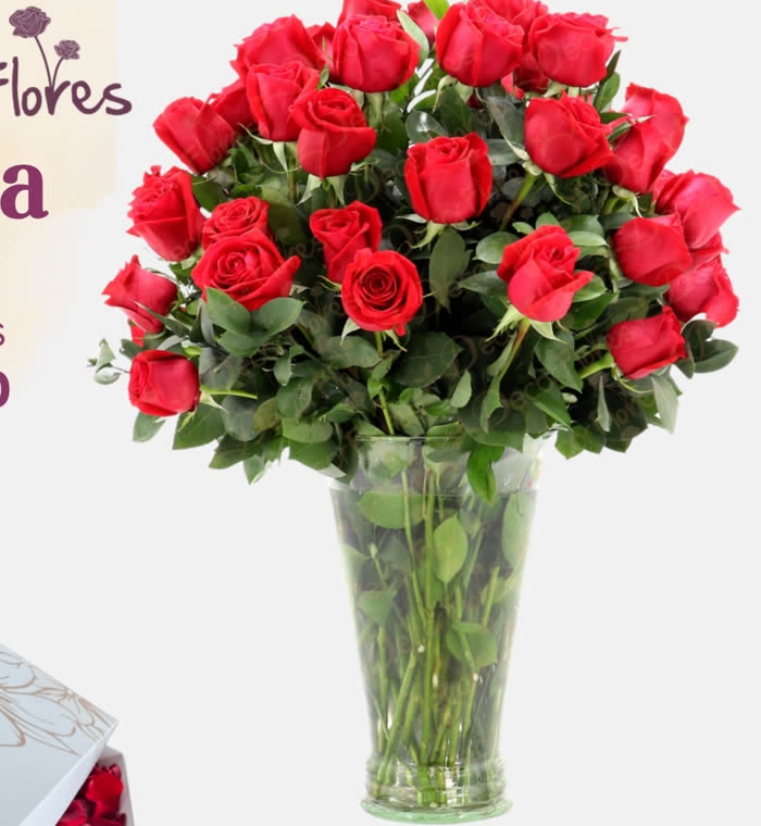 Porta Rosas x24: 24 rosas en florero de vidrio