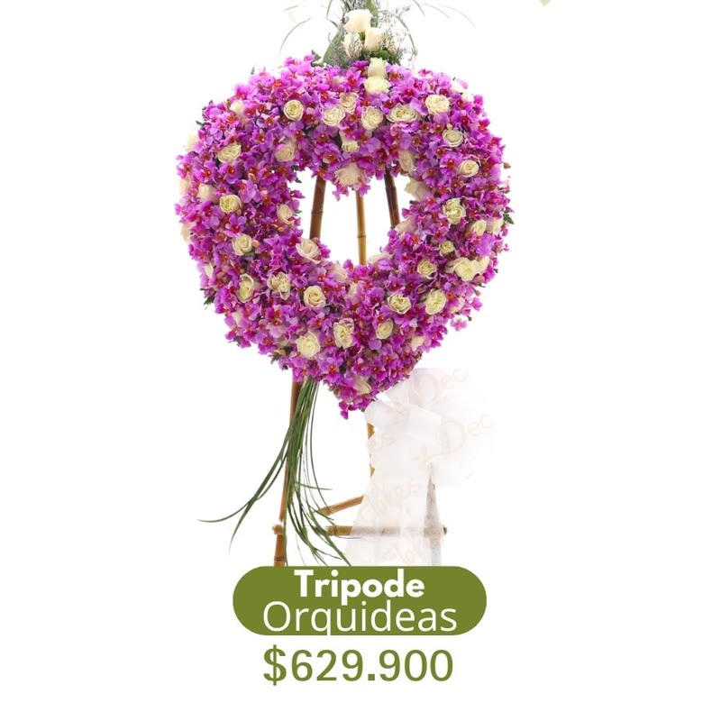 Trípode corazón orquídeas